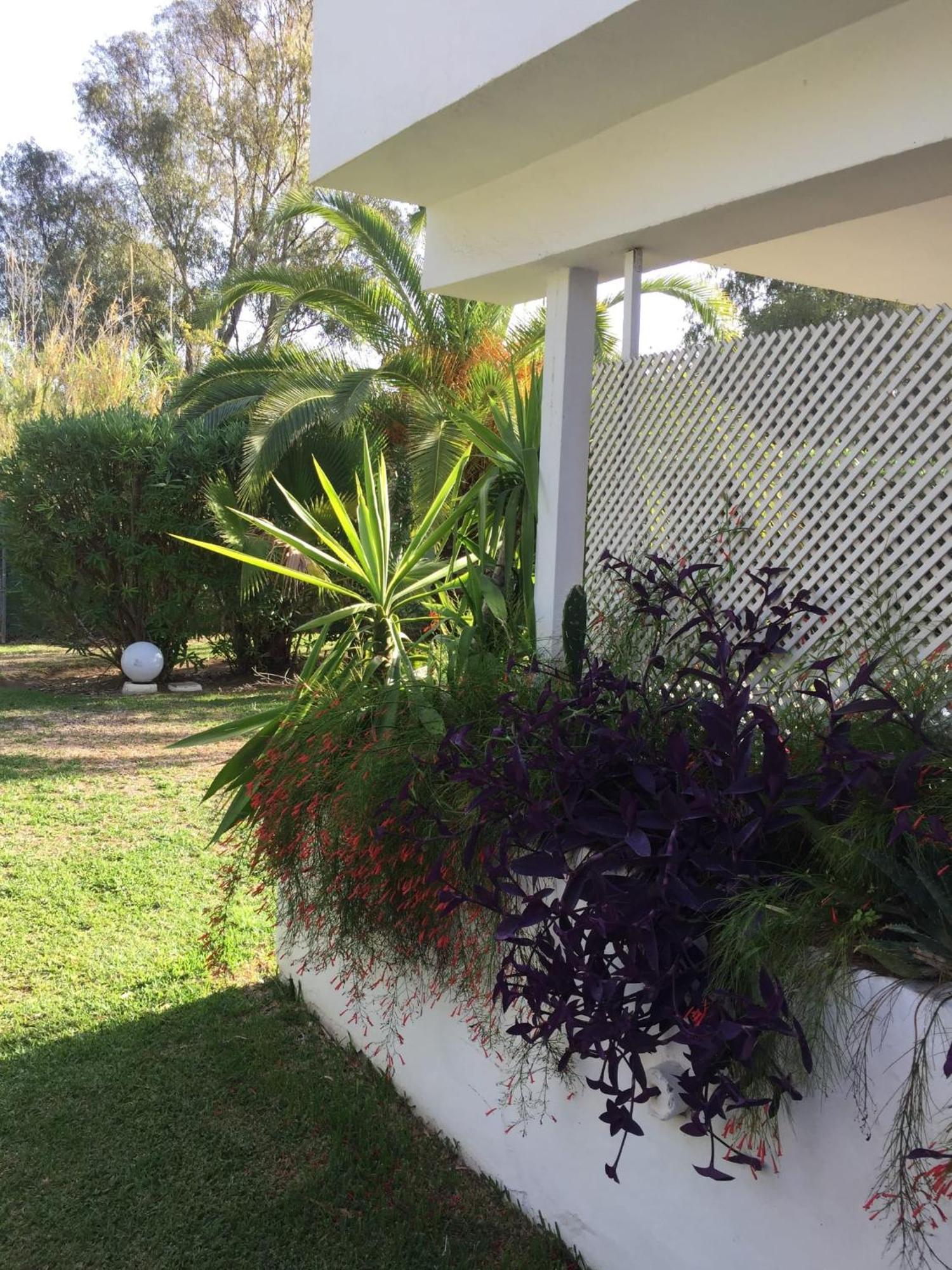 Puerto Banus Apartment Near Beachfront, Sunny Terrace, Pool, Tennis Court, Parking And Movies Projector Marbella Ngoại thất bức ảnh